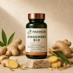 Gingembre BIO 200 gélules - Digestion & nausées | Framedis